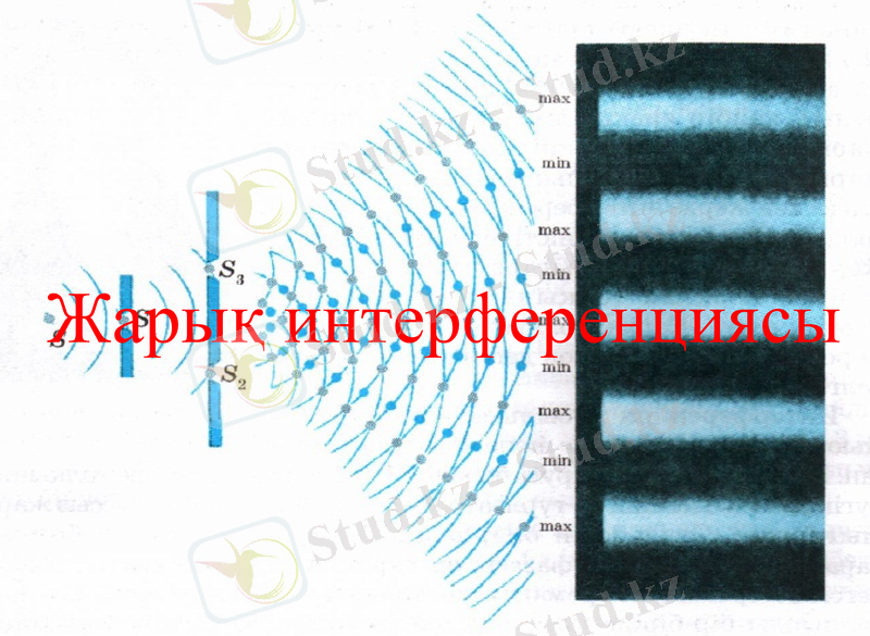 Slide 8