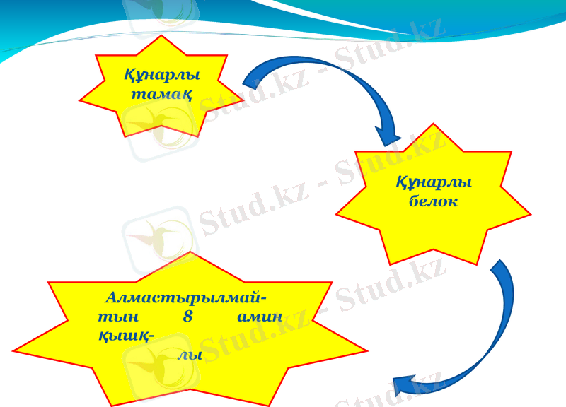 Slide 11