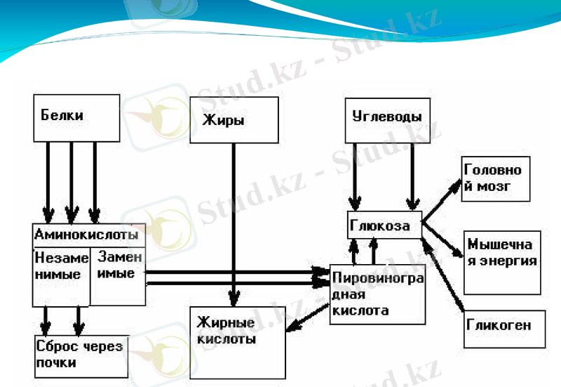 Slide 13