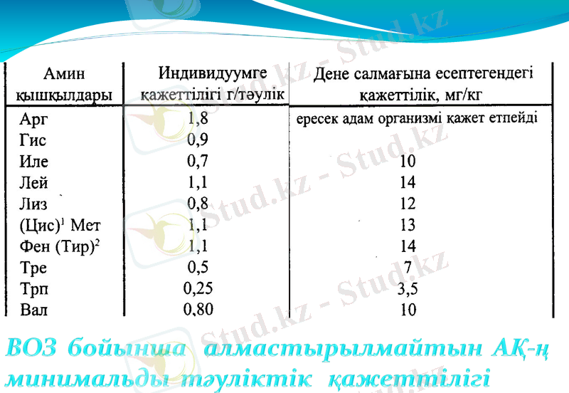 Slide 16