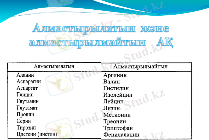 Slide 17