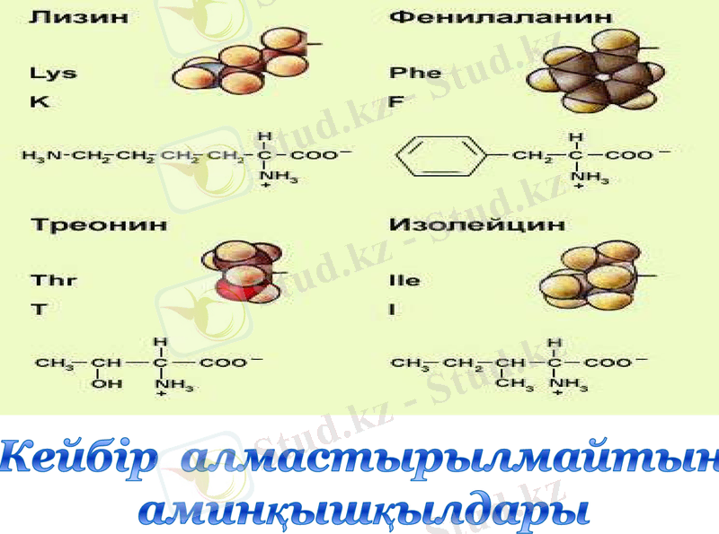 Slide 19