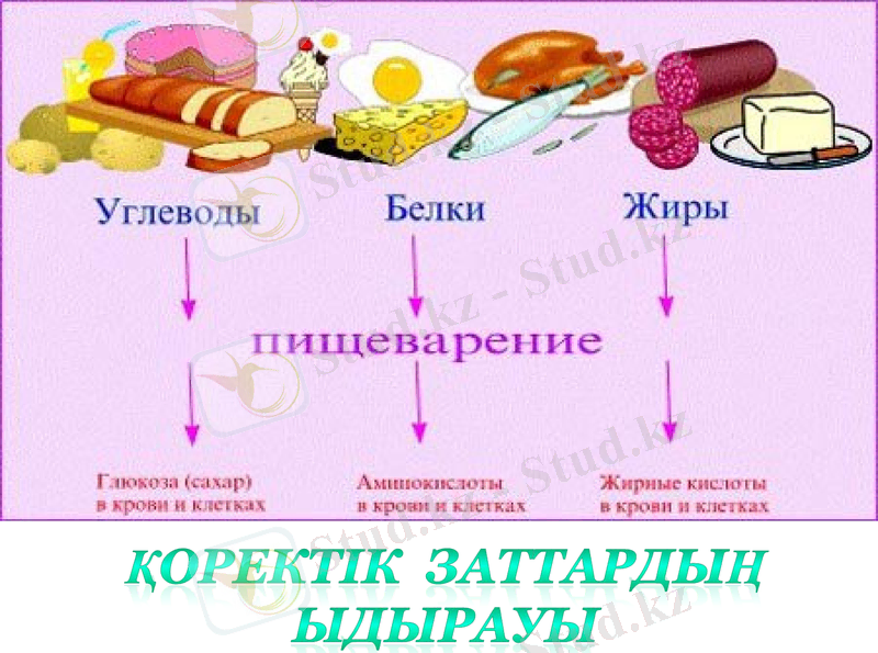 Slide 20