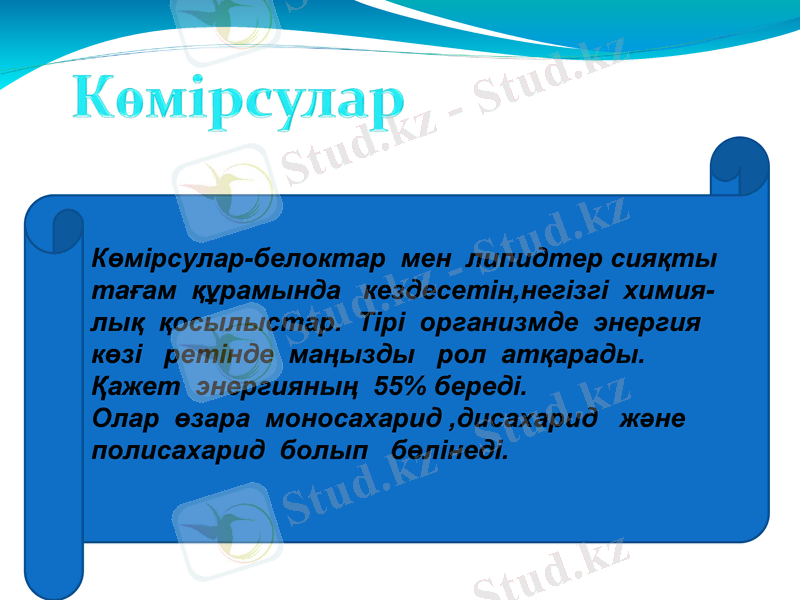 Slide 21