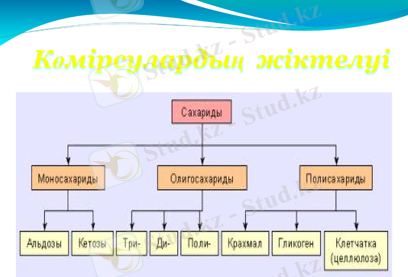 Slide 22