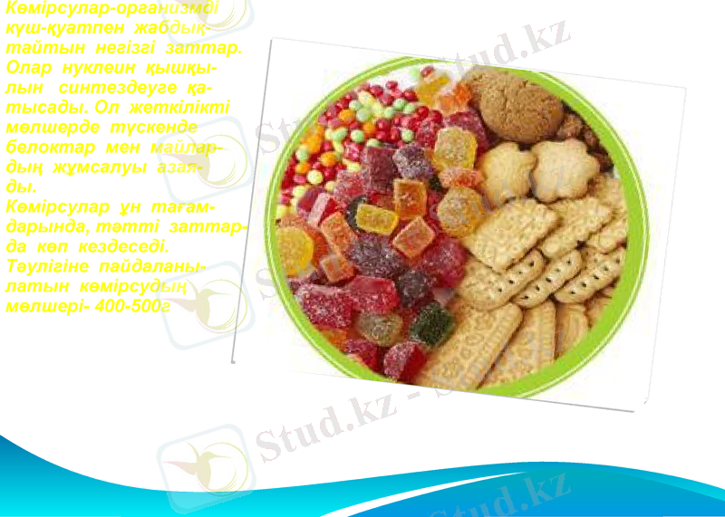 Slide 23