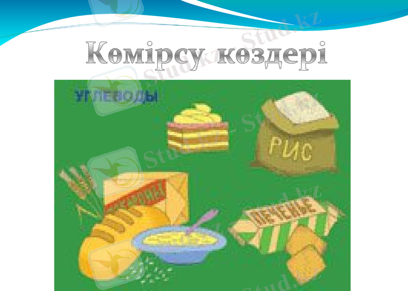 Slide 24
