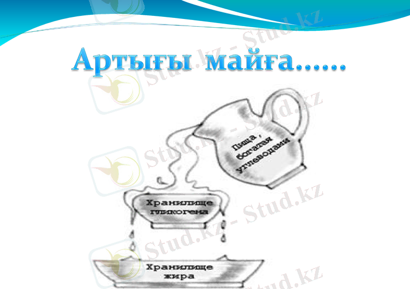 Slide 25