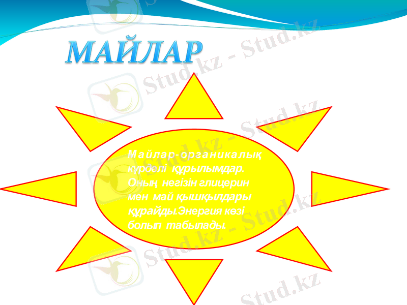 Slide 27