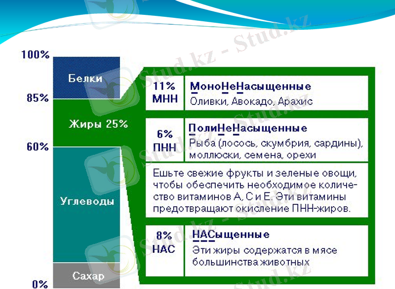 Slide 28