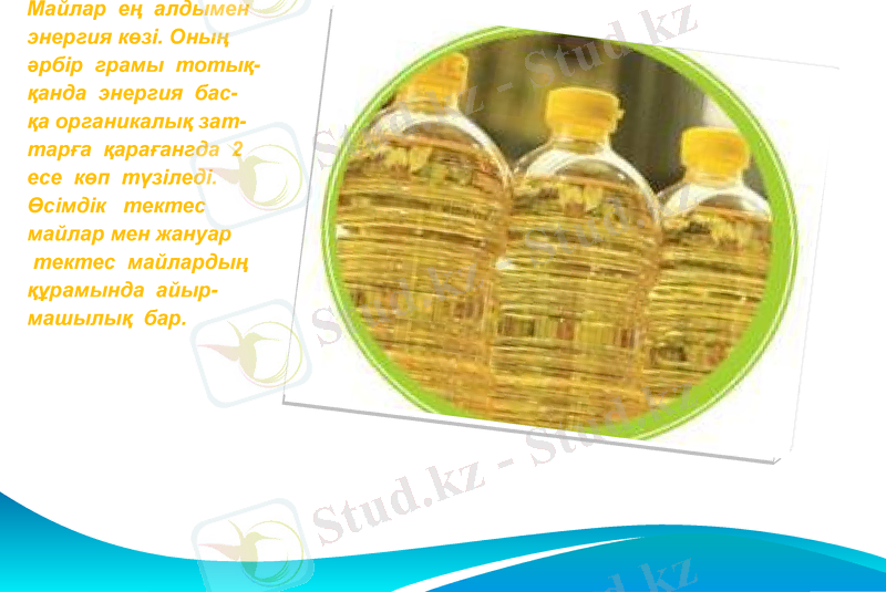Slide 29