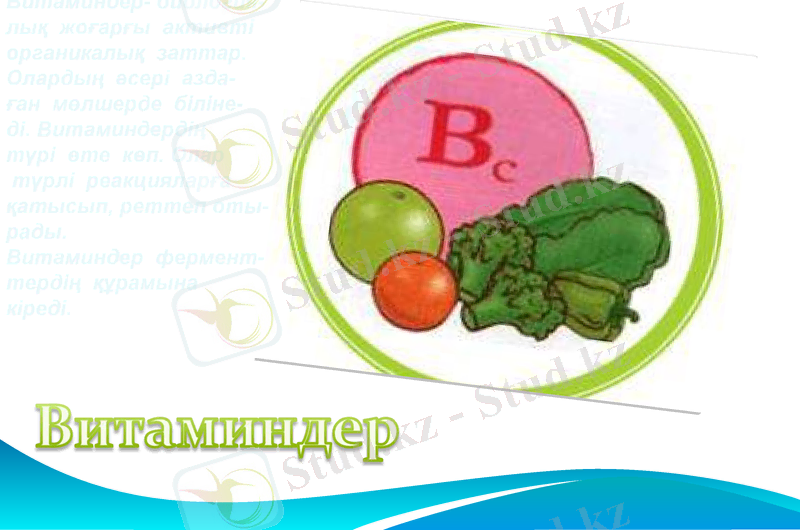 Slide 31