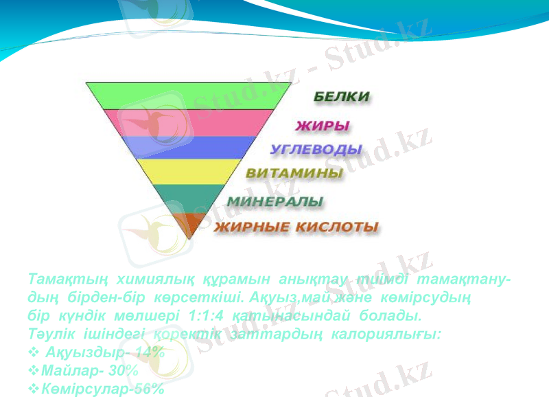 Slide 7