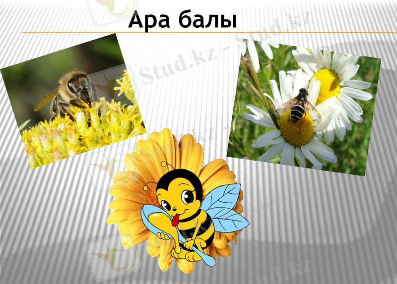 Slide 1