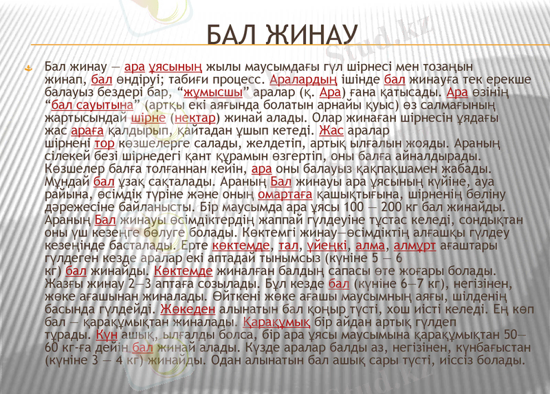 Slide 6