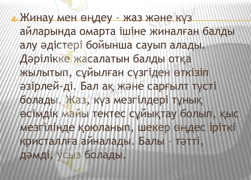 Slide 7