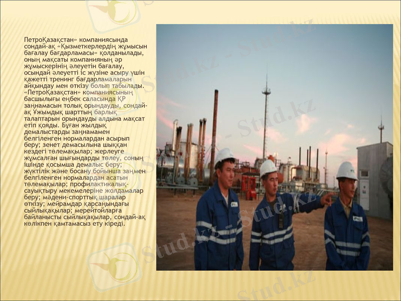 Slide 7
