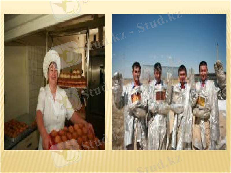 Slide 8