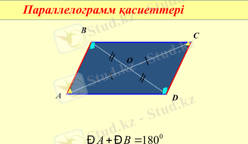Slide 13