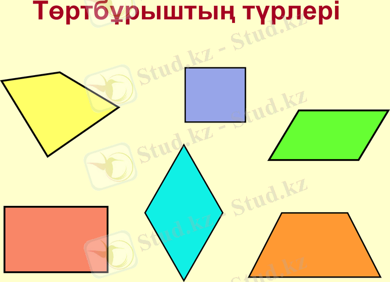 Slide 9