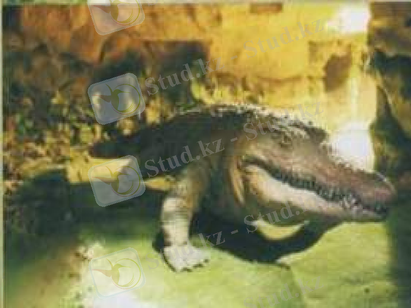 Slide 41