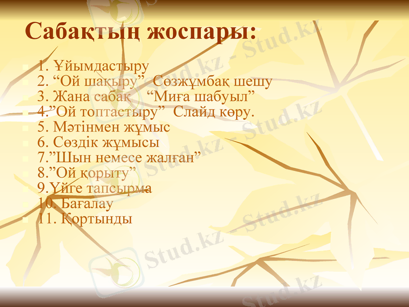 Slide 5