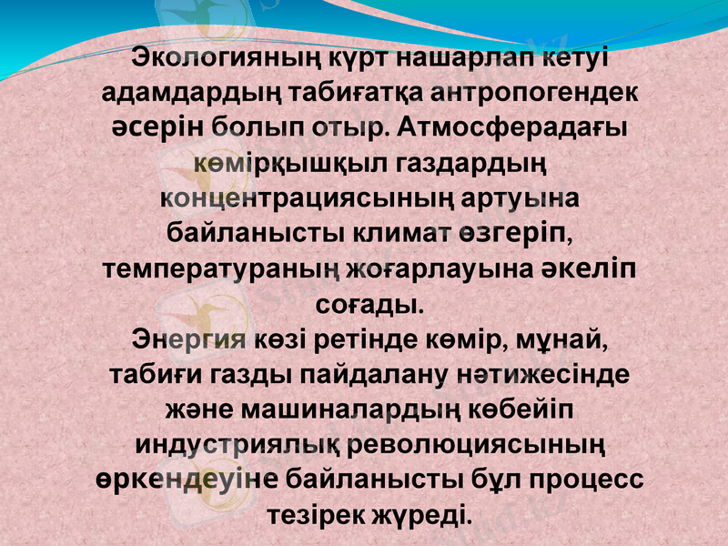 Slide 12
