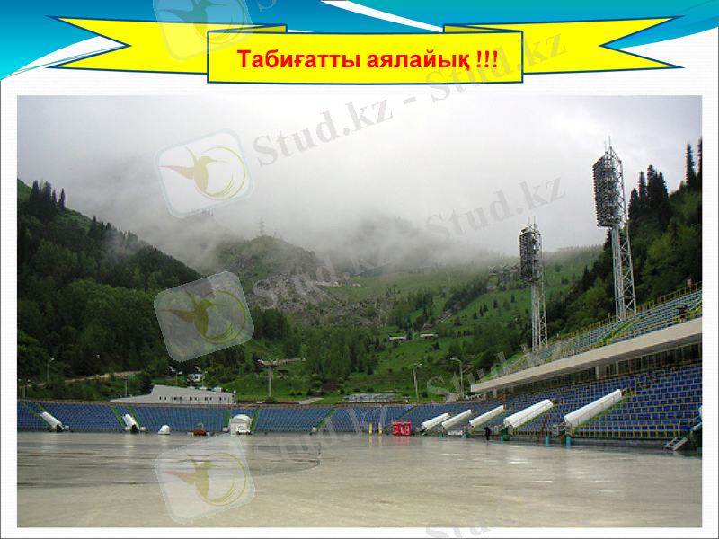 Slide 15