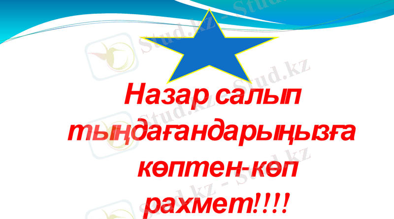 Slide 23