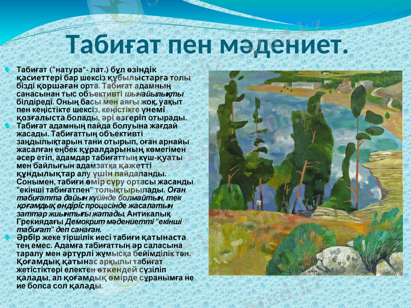 Slide 8