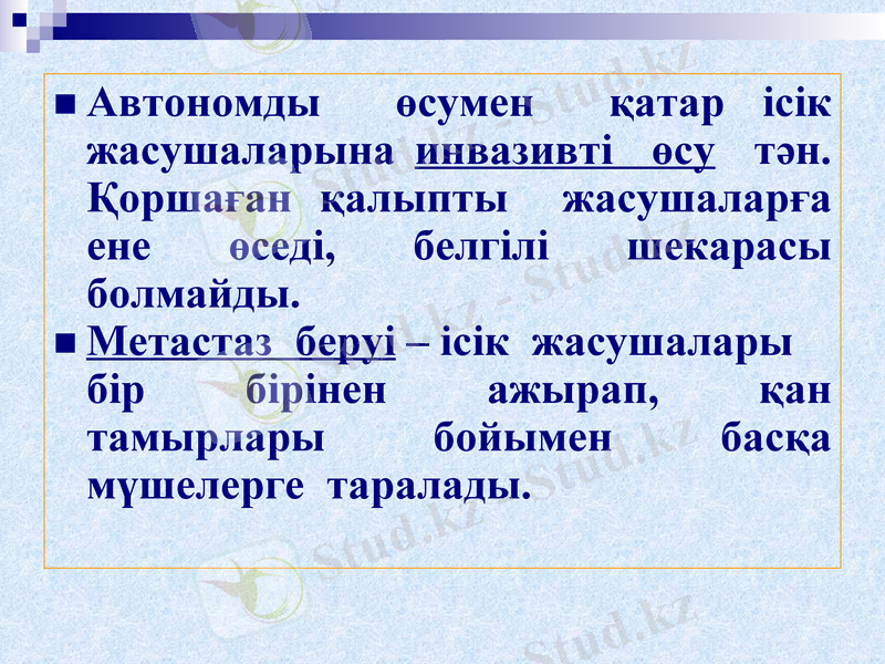 Slide 11