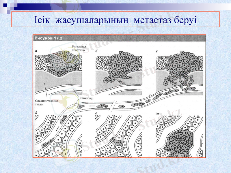 Slide 12