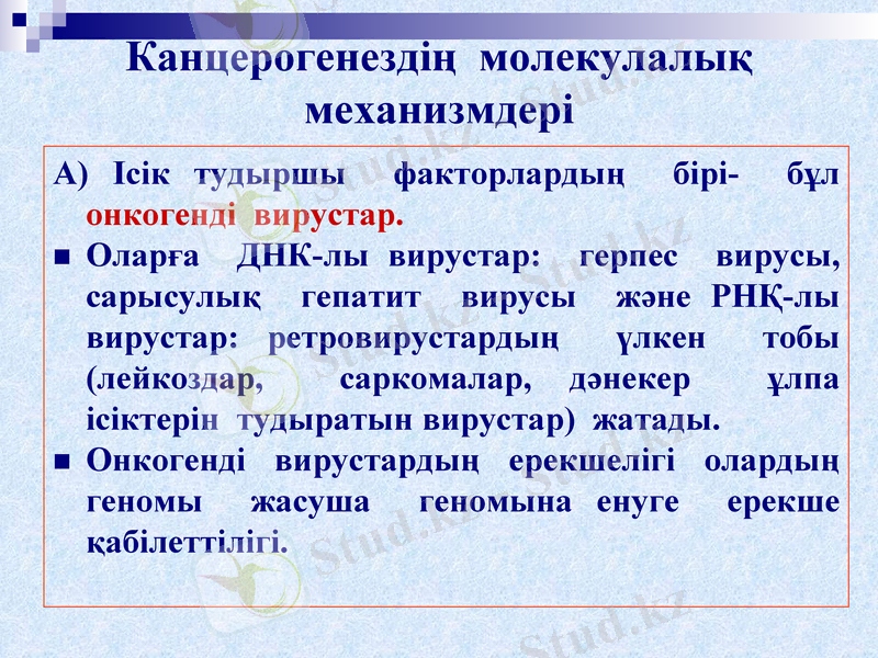 Slide 16