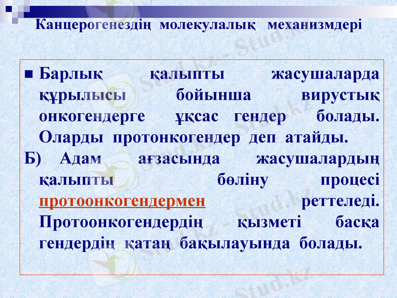 Slide 18