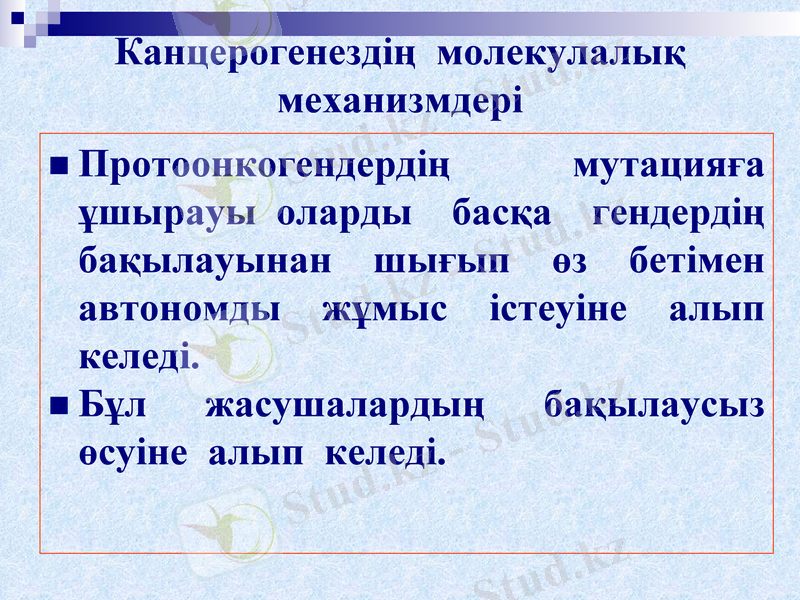 Slide 19