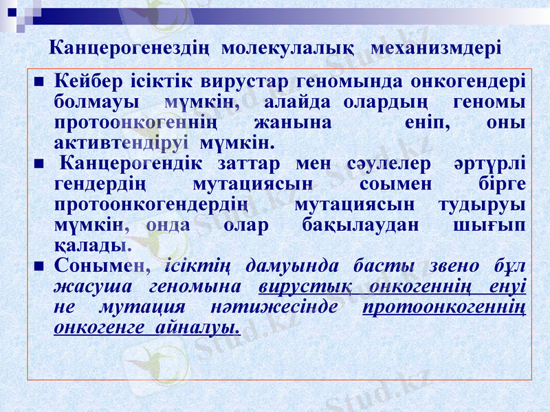 Slide 20