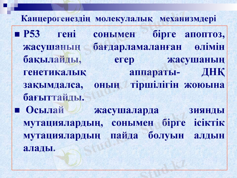 Slide 22