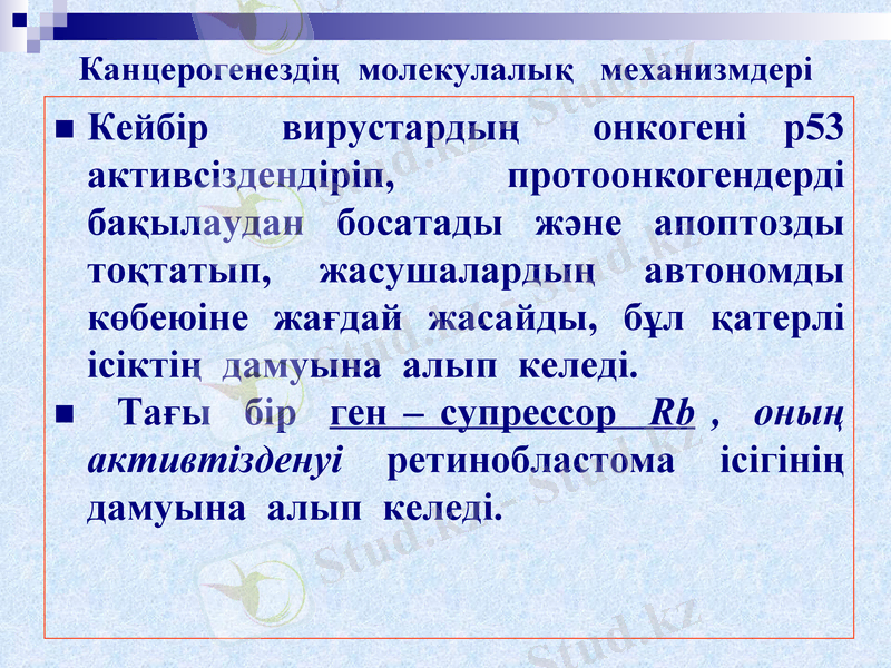 Slide 23
