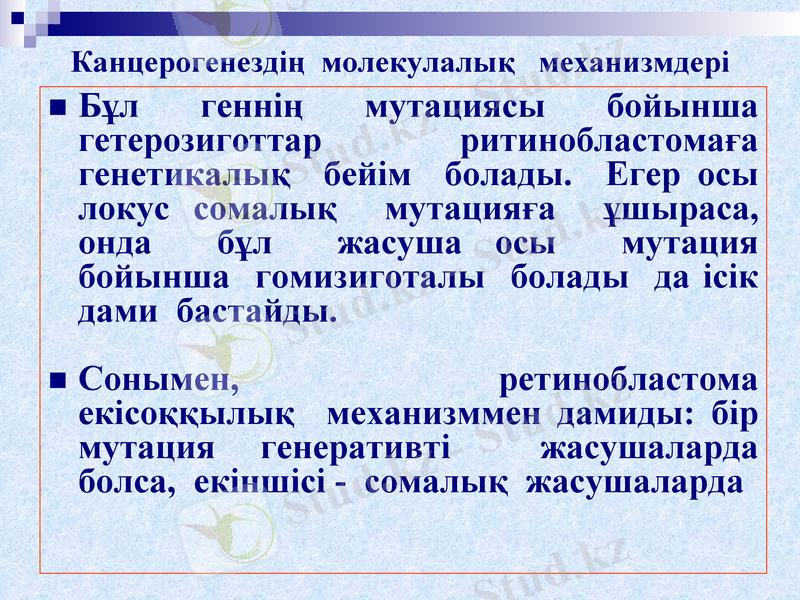 Slide 24