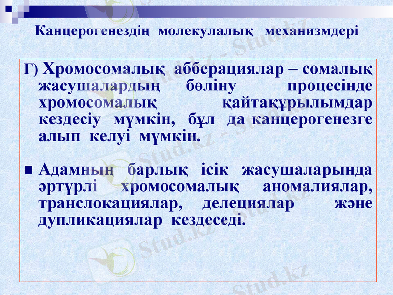 Slide 25