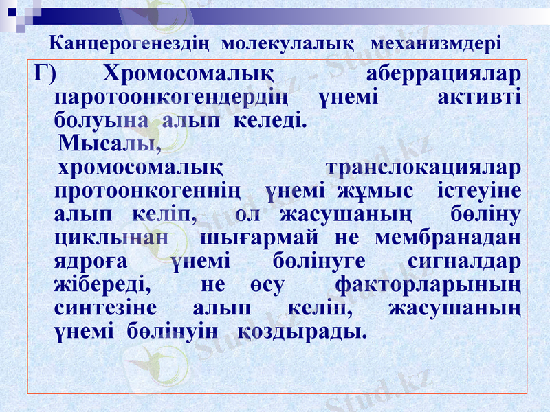 Slide 26