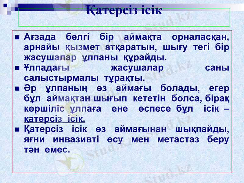 Slide 7