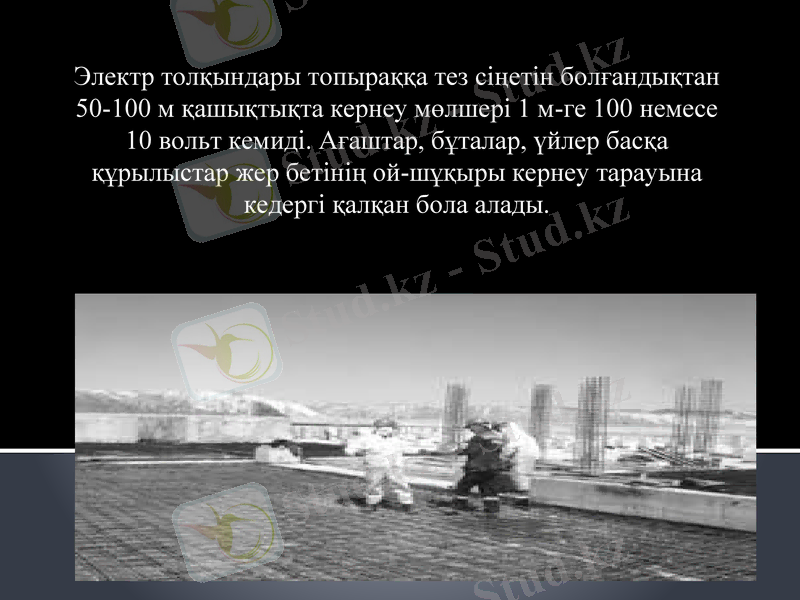 Slide 8
