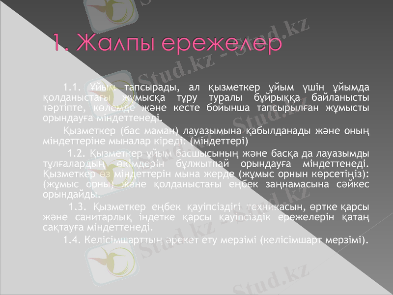 Slide 6