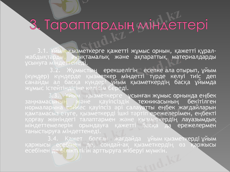 Slide 8