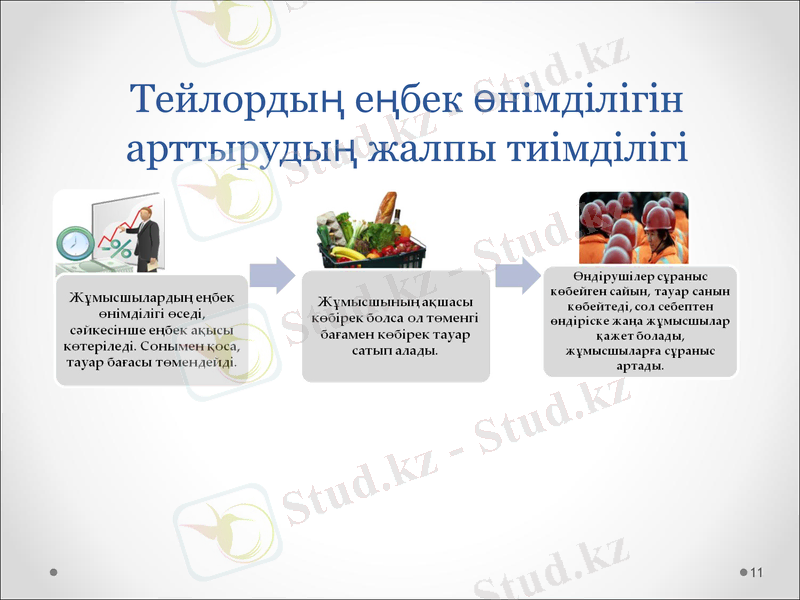 Slide 11