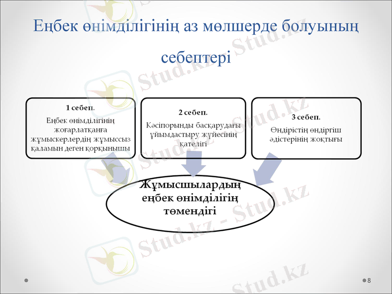 Slide 8