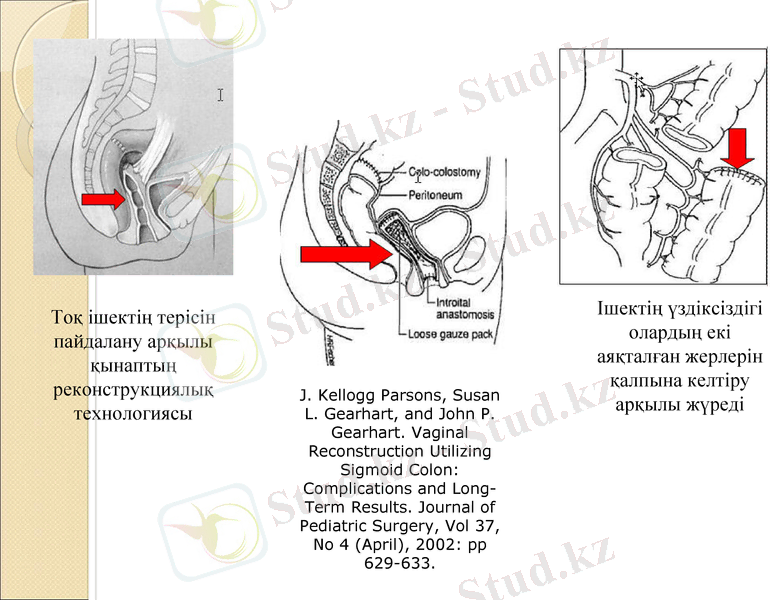 Slide 5
