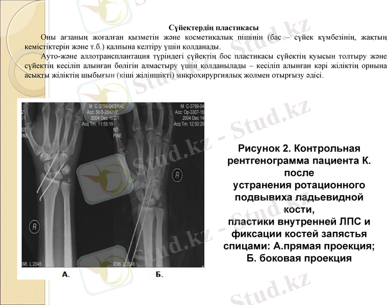 Slide 8