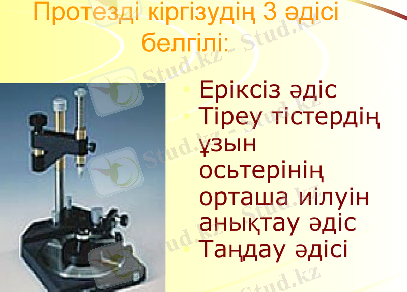 Slide 10
